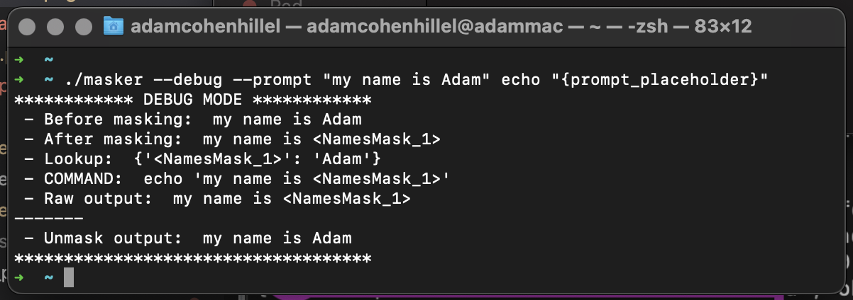 Example of how the CLI tool works with the basic ‘echo’ command.